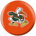 NCAA Miami Hurricanes 12 Only
