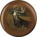 White Tailed Stag