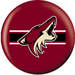 NHL Phoenix Coyotes