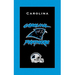 NFL Towel Carolina Panthers