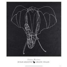 Elephas Maximus Poster Print