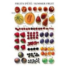 Summer Fruits Poster Print