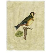Crackled Selby Birds I Poster Print