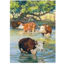 Cattle In A Shaded Pool - Summer Poster Print