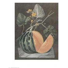Polinac Melon Poster Print