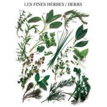 Mixed Herbs Poster Print