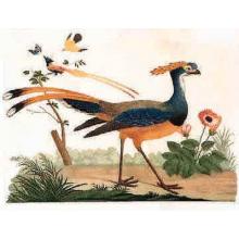 Flytrap Little Bird And Butterfly Poster Print