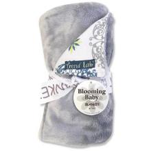 Embroidered Monaco Gray Velour Baby Blanket