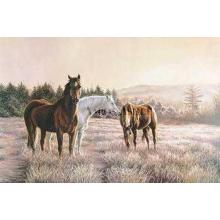Evening Rest Poster Print