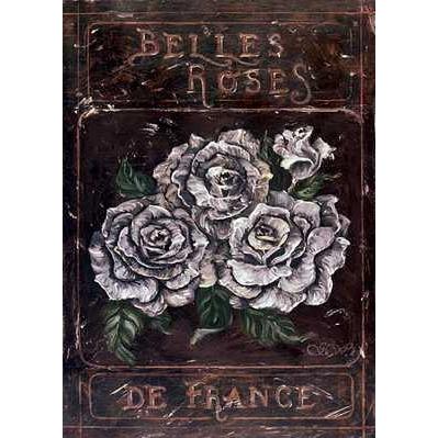 Beautiful Roses Of France Poster Print