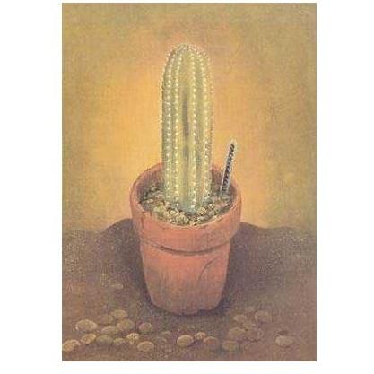 Cactus Plants In Pots Poster Print