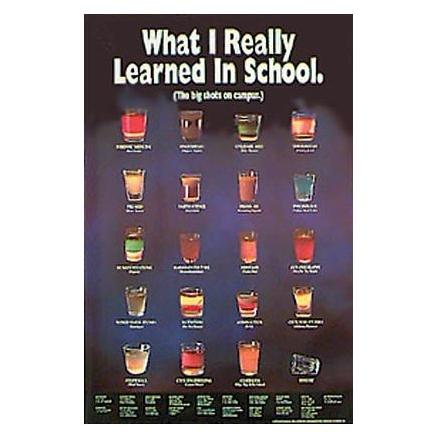 BIG SHOTS WHAT I REALLY LEARNED (20 In. By 36 In.) - Print