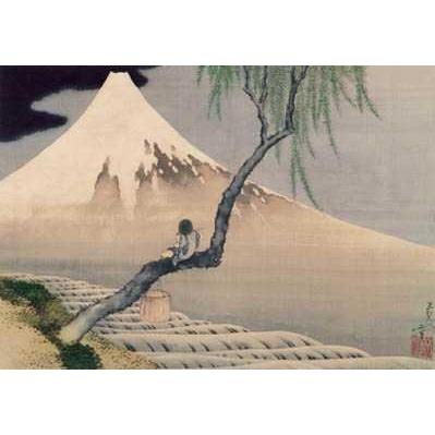 Boy On Mt Fuji Poster Print