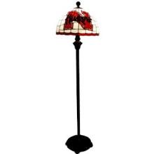 University of  Nebraska Floor Lamp