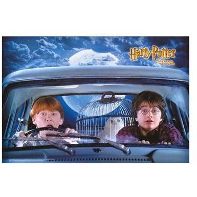 Harry Potter And The Chamber Of Secrets Poster Print