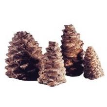 peterson log accessories