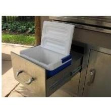 RCS Cooler Insert
