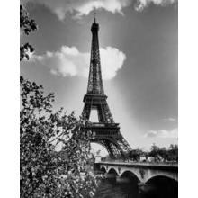 Eiffel Tower Poster Print