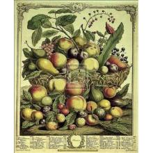 Robert Furber - Fruits Of The Season-Summer Size 8x10 Poster Print
