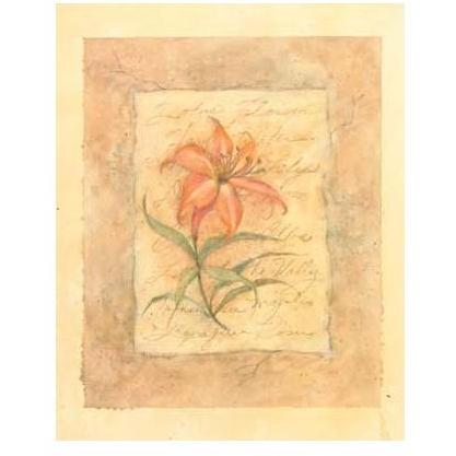 Day Lily Poster Print