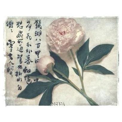 Oriental Peony Poster Print