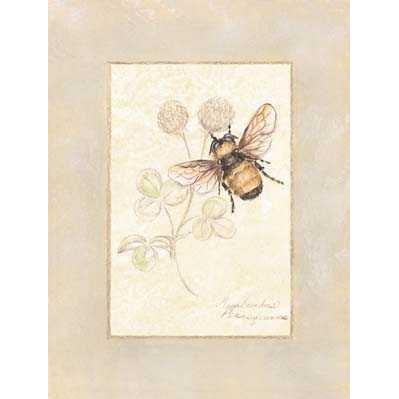 Beautiful Bugs-Bee Poster Print