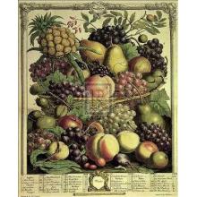 Robert Furber - Fruits Of The Season-Winter Size 8x10 Poster Print