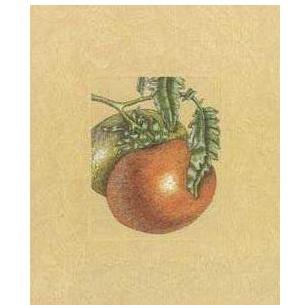 Tomatoes Poster Print