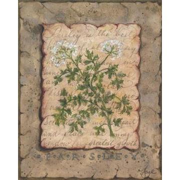 Vintage Herbs - Parsley Poster Print
