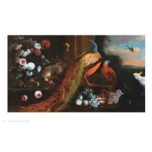Peacock In A Classical Landscape Poster Print