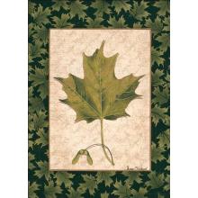 Maple Leaf Poster Print