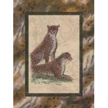 Cheetah S Poster Print