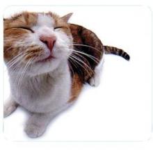 PET-ME CAT MOUSE PAD