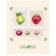 Alex Bloch - Antique Fruits Size 20x16 Poster Print