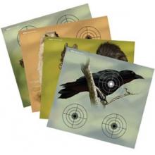Targets & Throwers