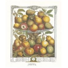 Twelve Months Of Fruits, 1732/February Poster Print