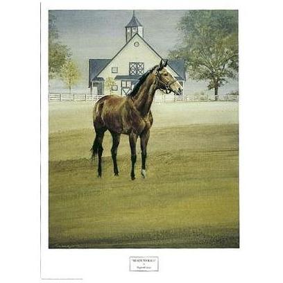 Ready To Race Poster Print