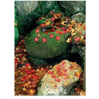 Zen Garden Poster Print