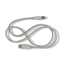 Belkin 6 Foot USB CABLE A A