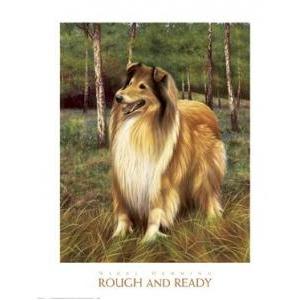 Rough And Ready Poster Print