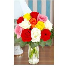 12 Short Stem Mixed Roses