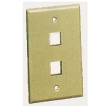 ICC IC107F02IV - 2Port Face Ivory