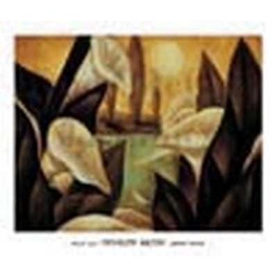 Calla Lily Poster Print