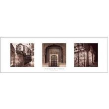 Secret Places Poster Print