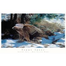 Strike One-Red Tailed Hawk Poster Print