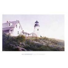 Gulls At Pemaquid Poster Print