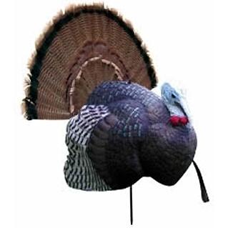Decoys - Turkey