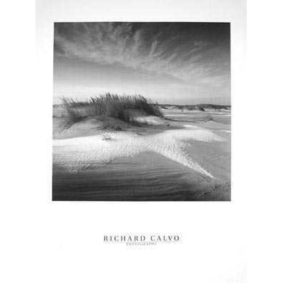 The Color Of Dreams Poster Print