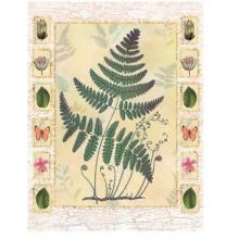 Walter Robertson - Tropical Leather Fern Size 10x8 Poster Print