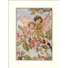 Apple Blossom Fairy Poster Print